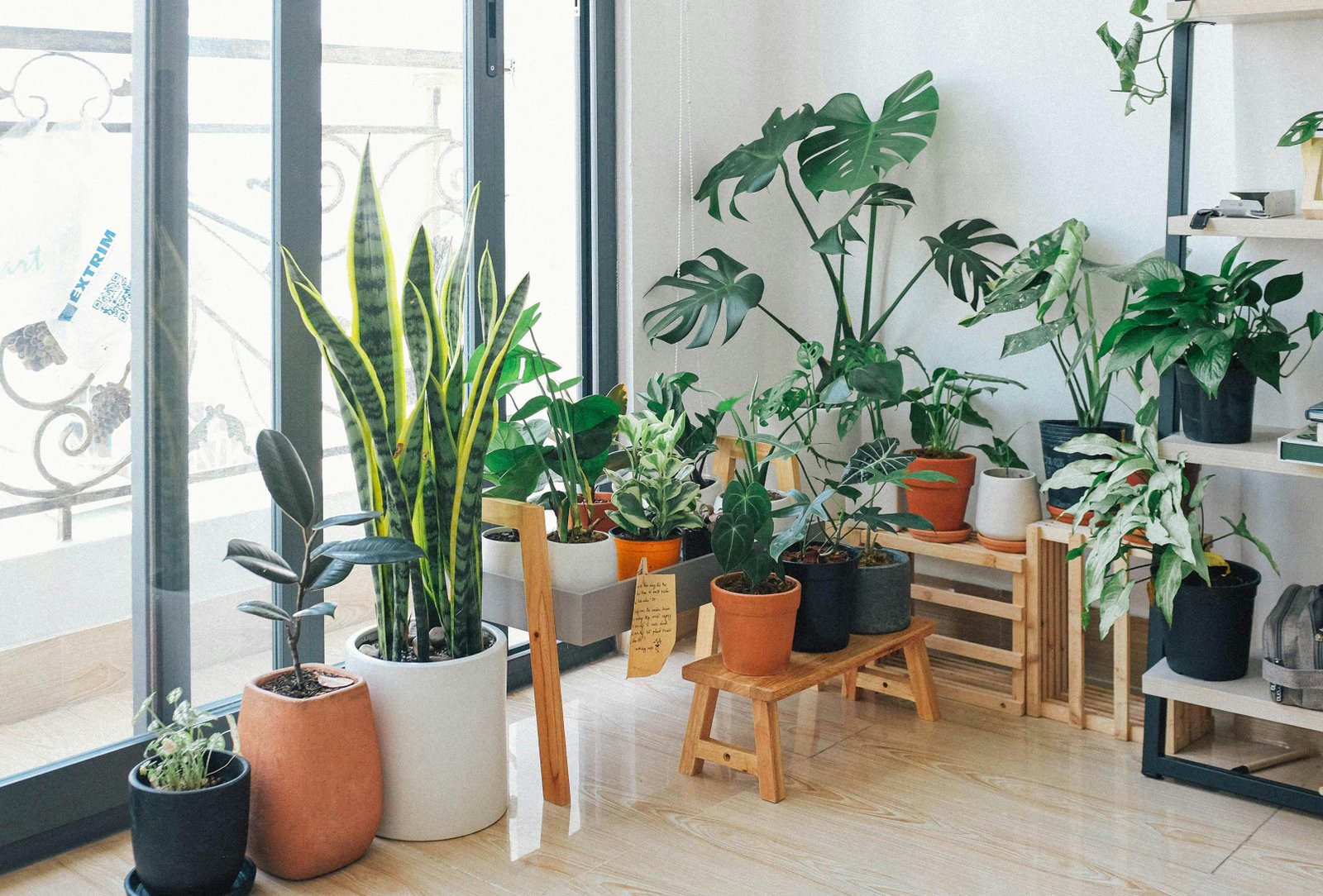 Indoor plant styling